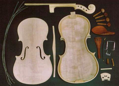 Violin made from maple and sycamore