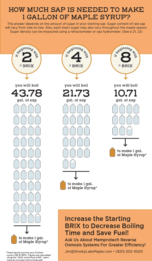 Jones Rule of 86