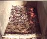 After running the evaporator hard for 3 hours, there were very few ashes left in the firebox. The 'holes' in the ashes indicate locations where air had been injected by the blowers.