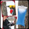 Tapping a Maple Tree
